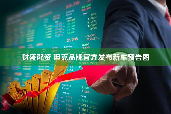 财盛配资 坦克品牌官方发布新车预告图