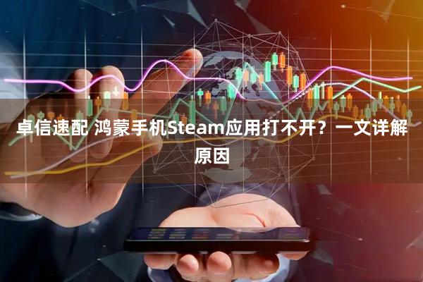 卓信速配 鸿蒙手机Steam应用打不开？一文详解原因
