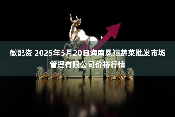微配资 2025年5月20日海南凤翔蔬菜批发市场管理有限公司价格行情