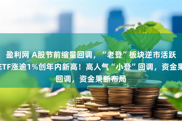 盈利网 A股节前缩量回调，“老登”板块逆市活跃，地产ETF涨逾1%创年内新高！高人气“小登”回调，资金果断布局