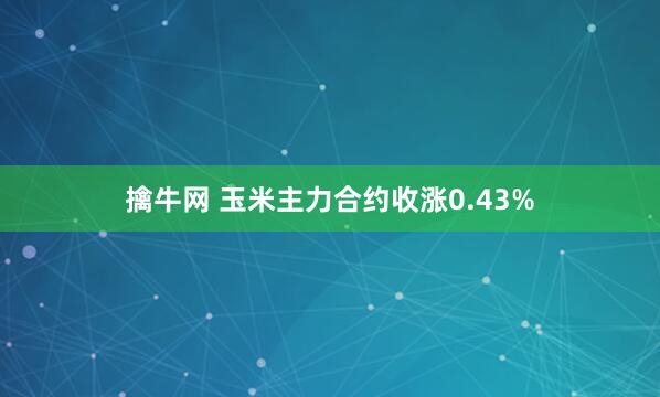 擒牛网 玉米主力合约收涨0.43%